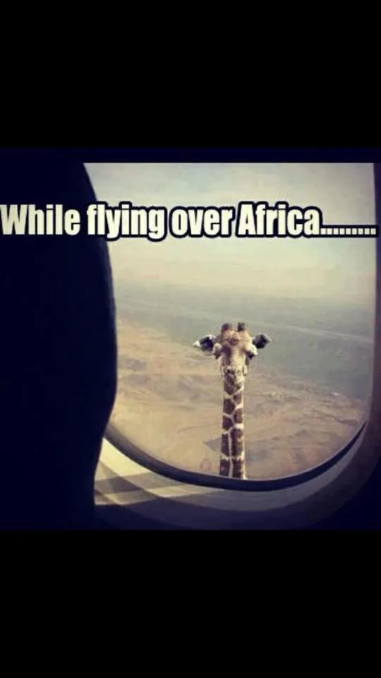 Africa meme