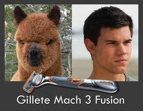 shaving meme