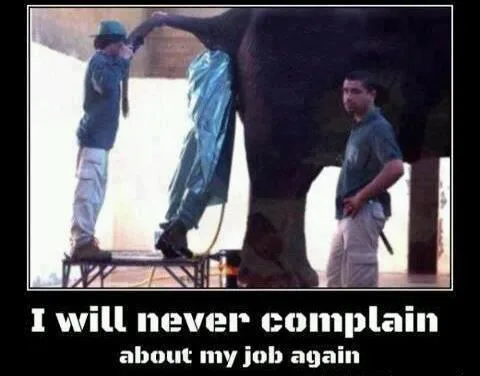 work meme