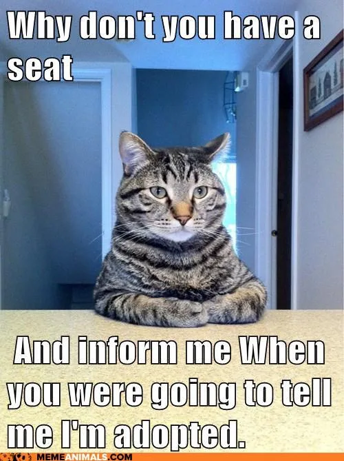 adoption meme