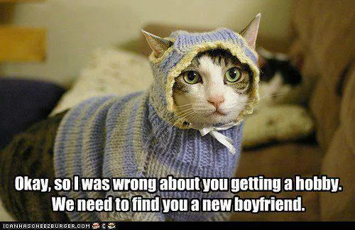knitting meme