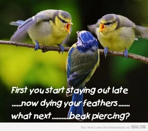 juvenile delinquent meme
