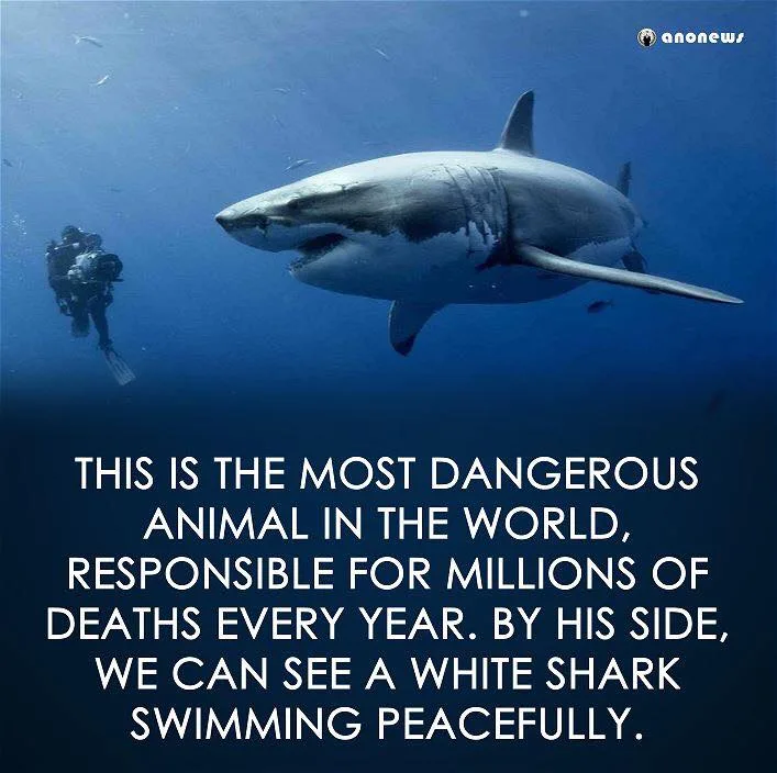 extinction meme