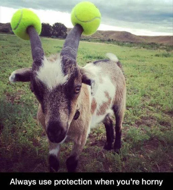 contraception meme