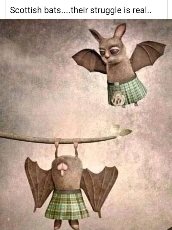 bat meme