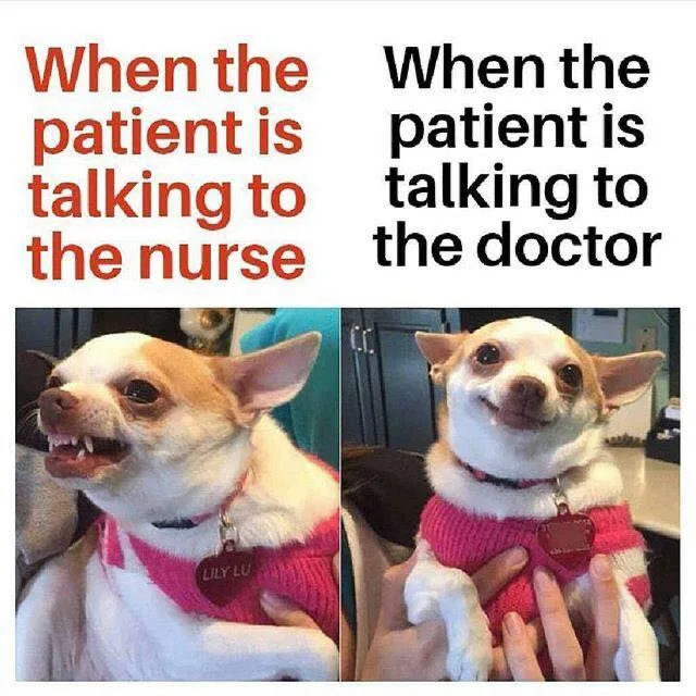 nurse meme