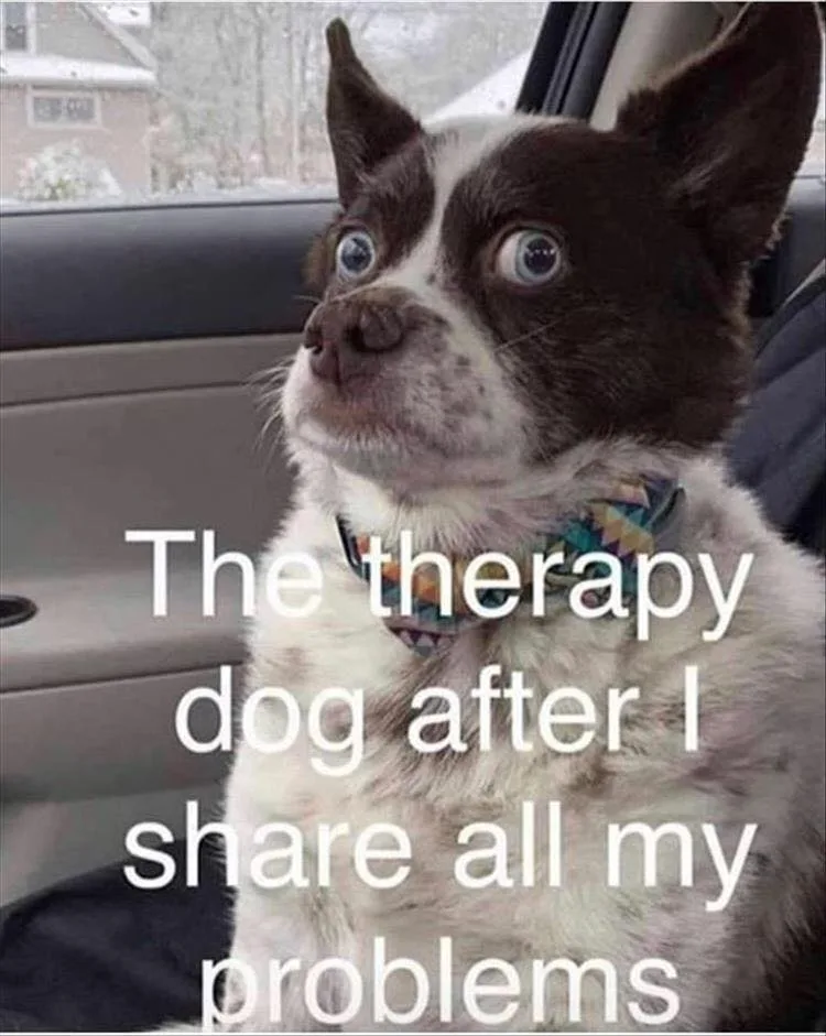therapy meme