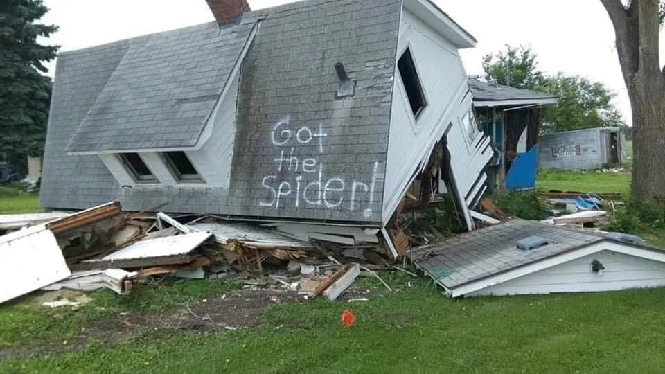 spider meme