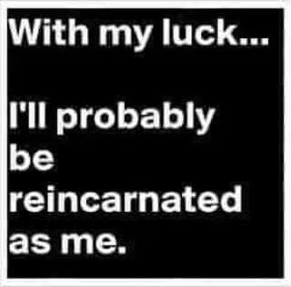 reincarnation meme