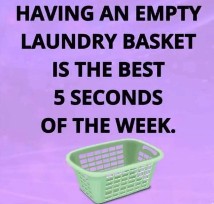 laundry basket meme