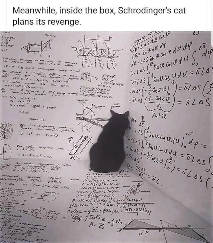 Schroedinger's cat meme