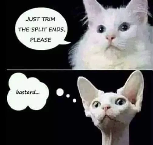 barber meme