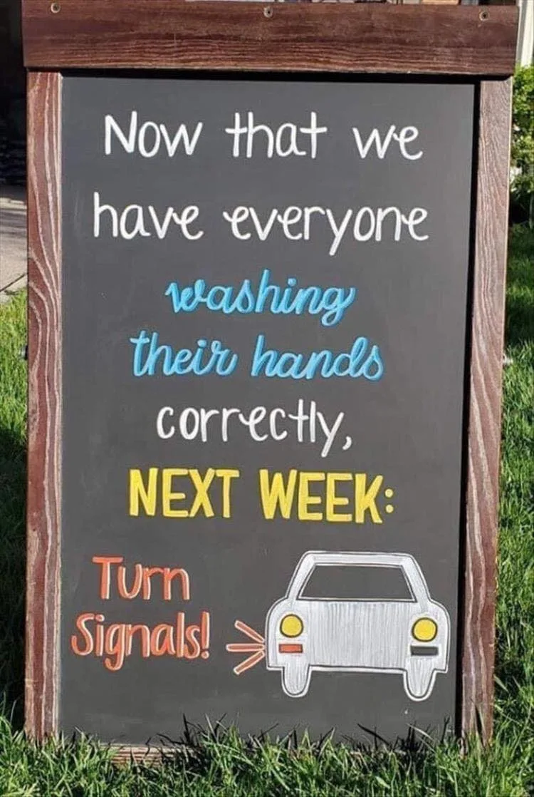 turn signal meme