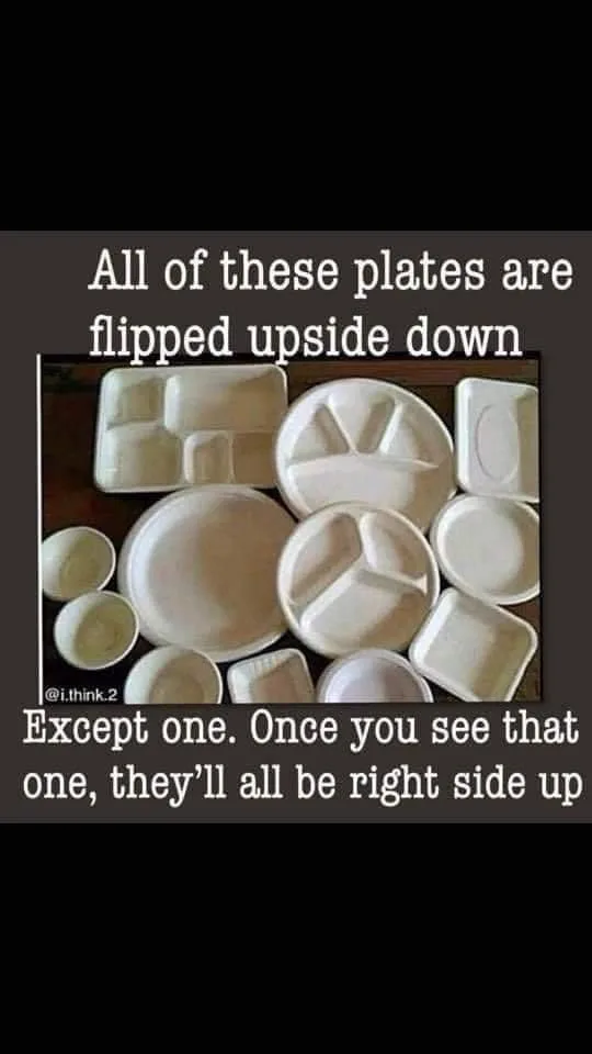 optical illusion meme