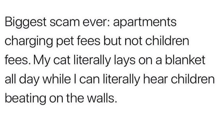 apartment meme