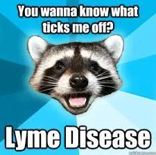 Lyme Disease meme
