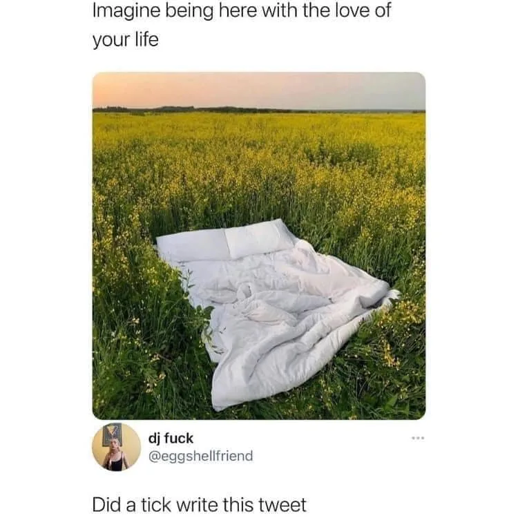 tick meme