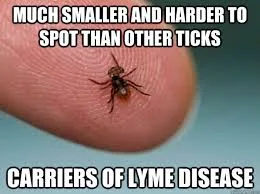 tick meme