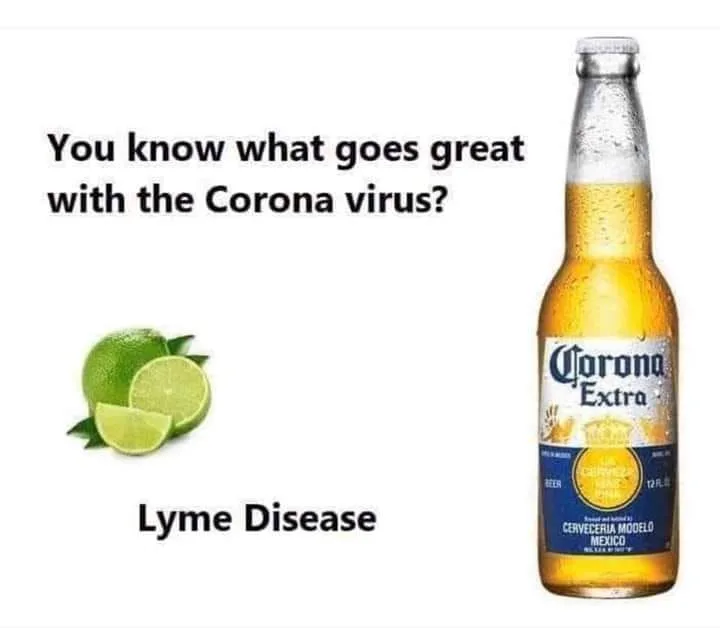 Lyme Disease meme