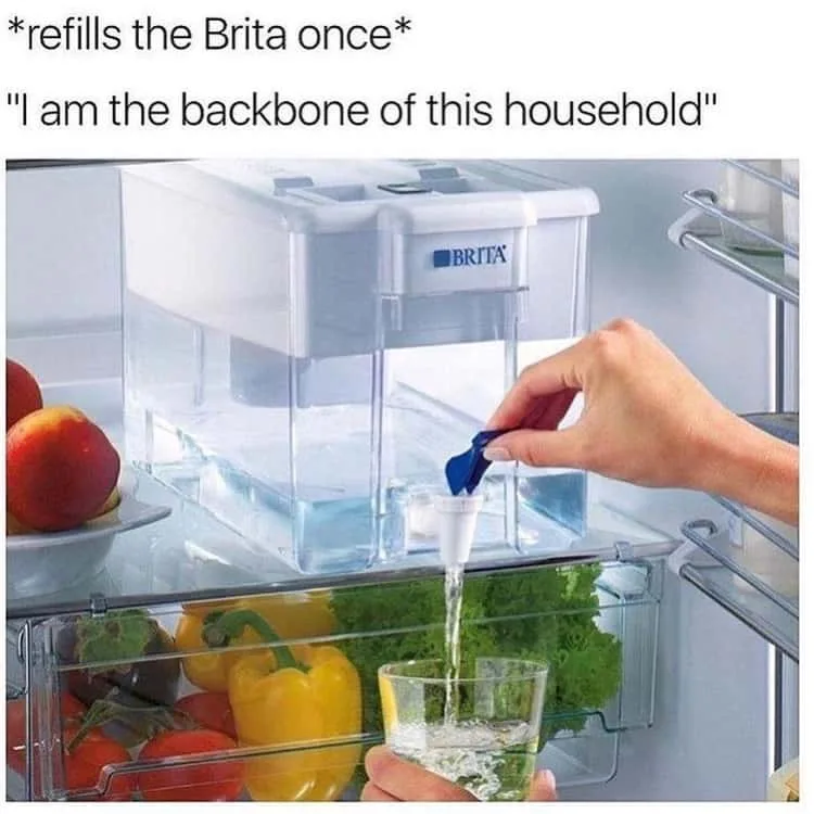 housework meme