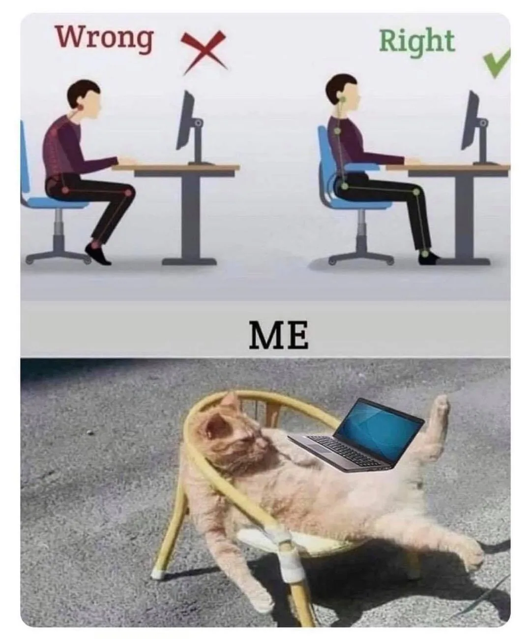 posture meme