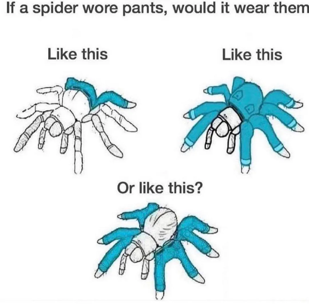 spider meme