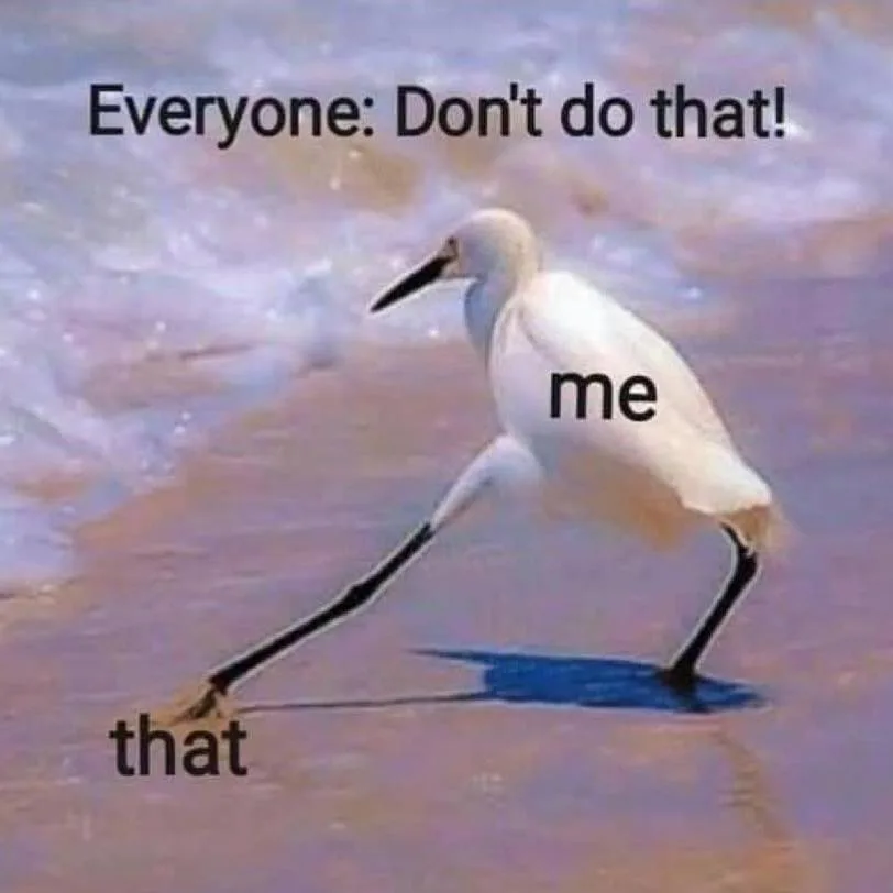 prohibition meme