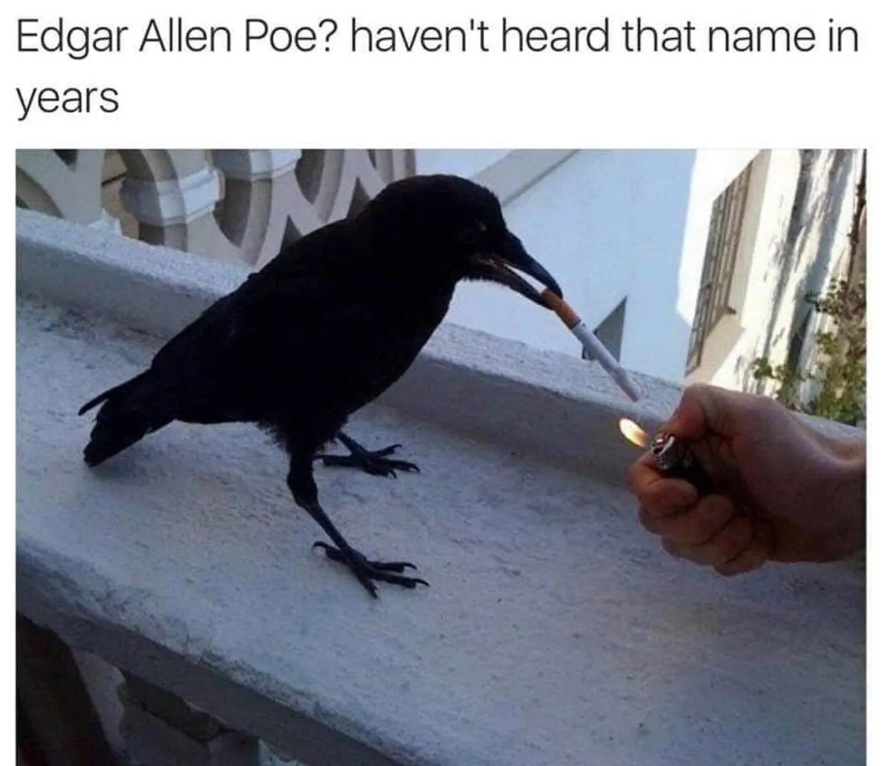 raven meme
