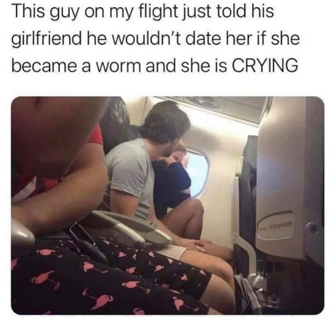 metamorphosis meme