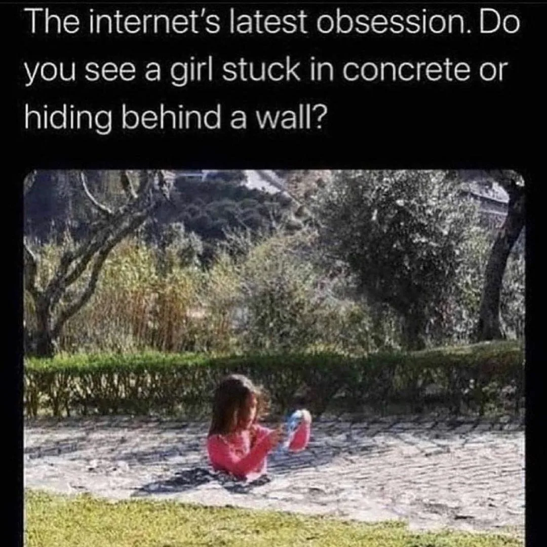 optical illusion meme