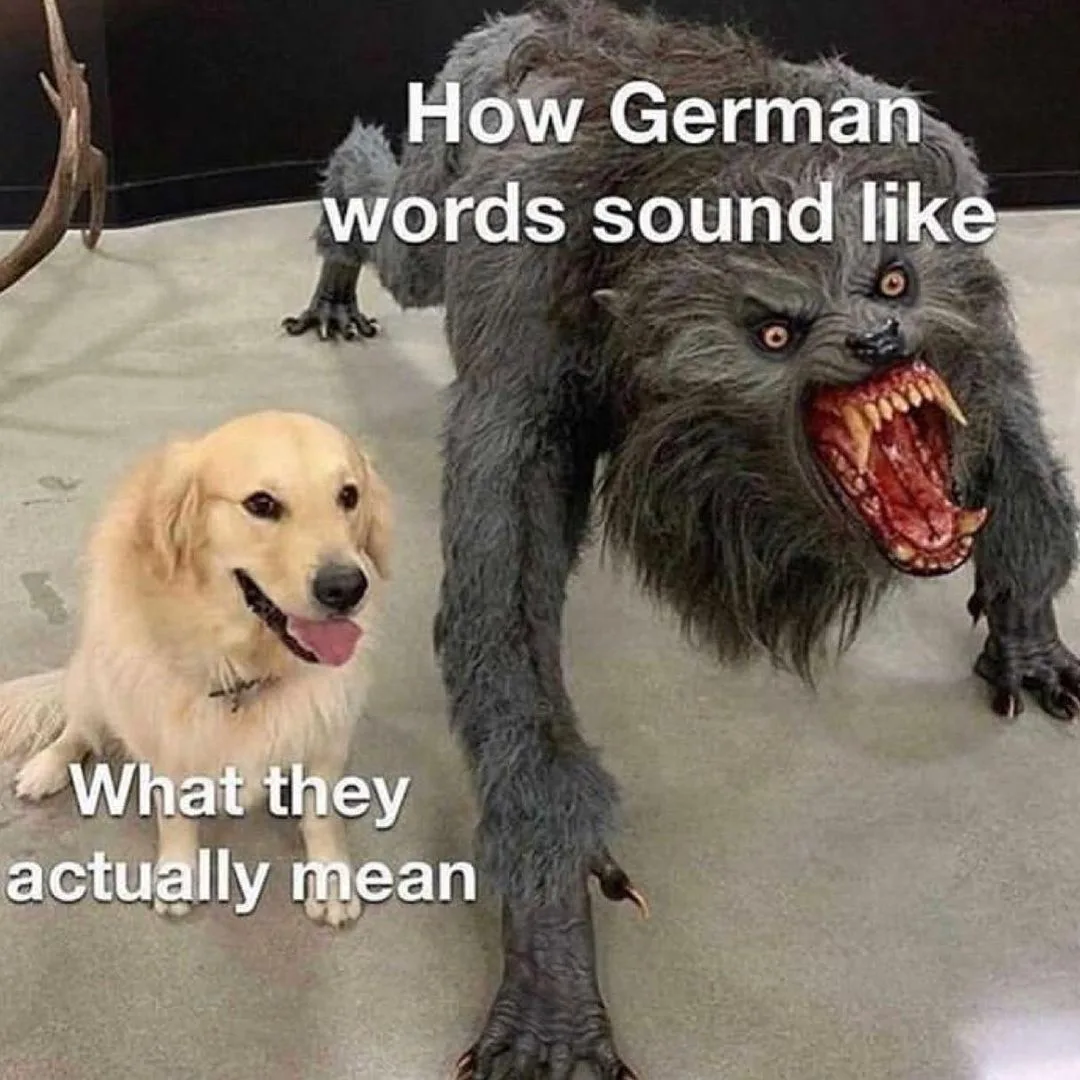 German (language) meme