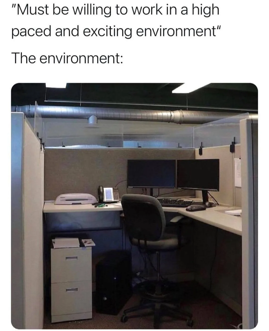 job application meme