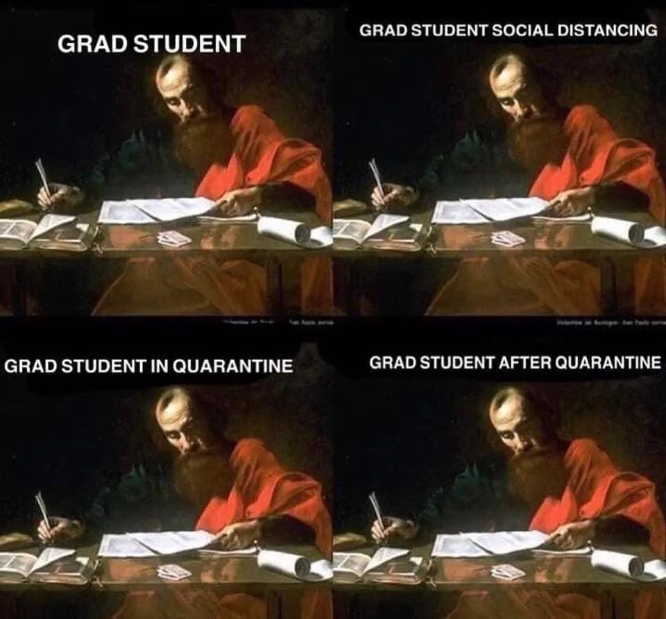 graduate school meme
