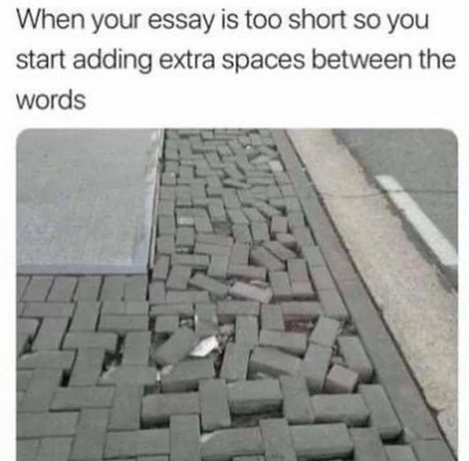 essay writing meme