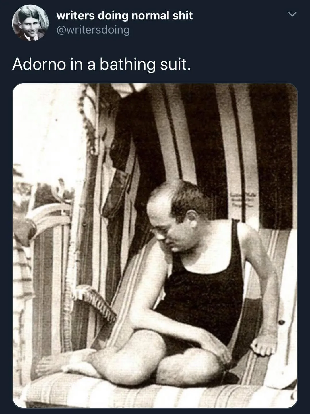 Theodor Adorno meme