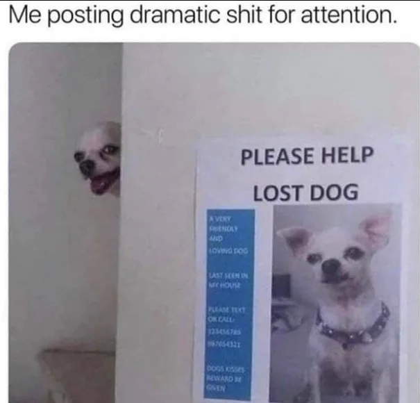 post meme
