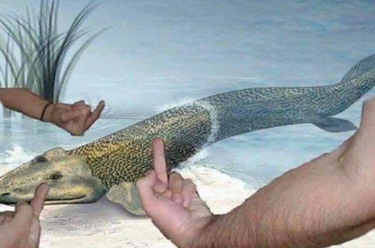 evolution meme