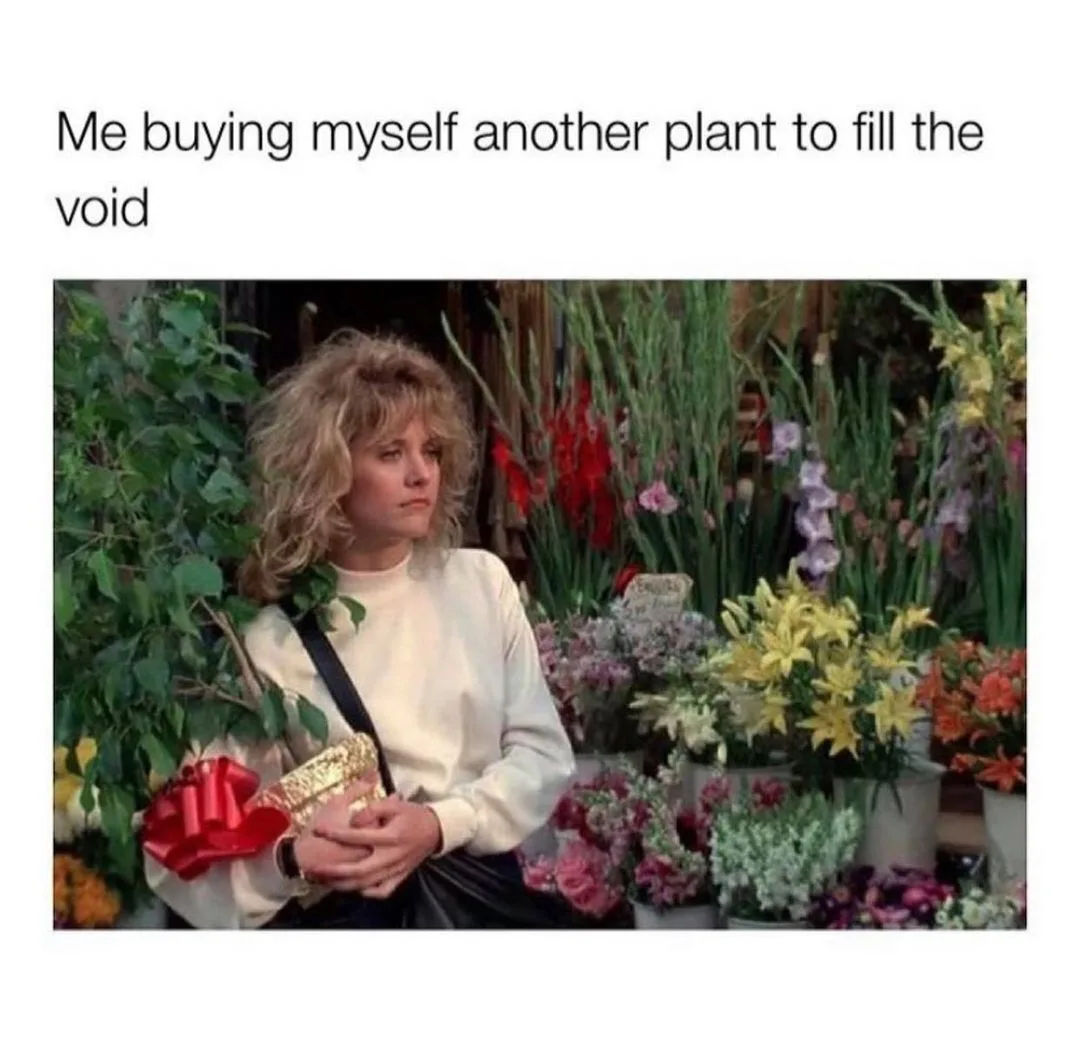 houseplant meme