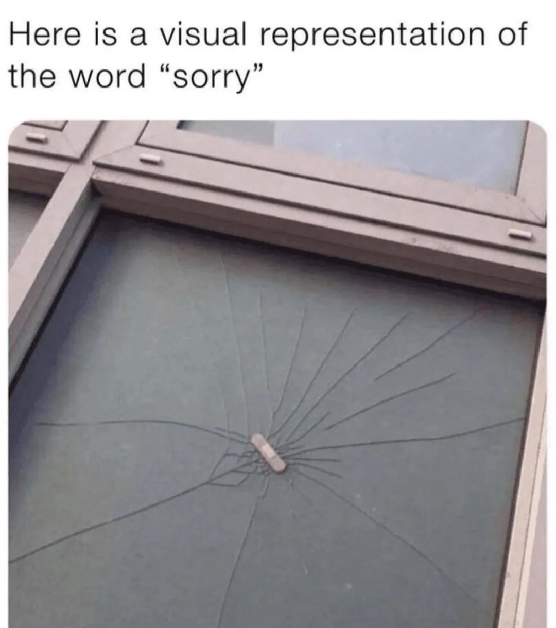 apologizing meme