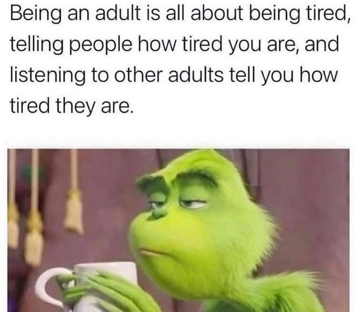 adulthood meme