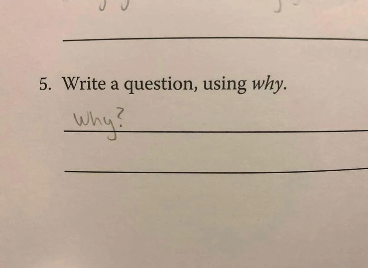 exam meme