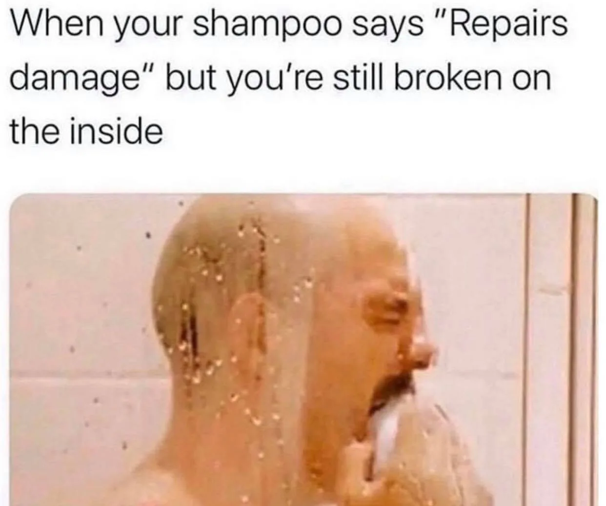 self-hate meme