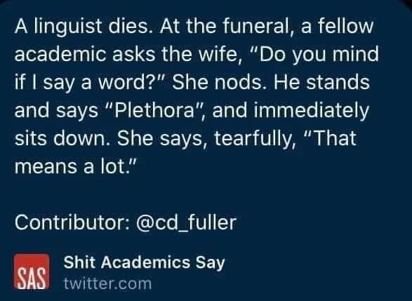 verbosity meme