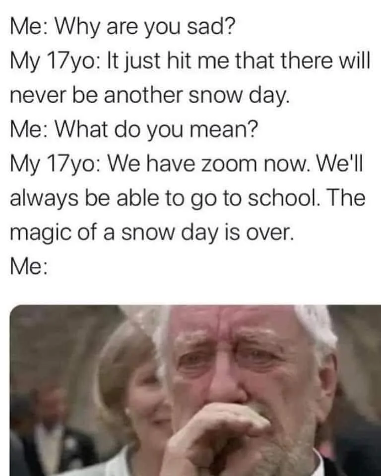 Zoom meme