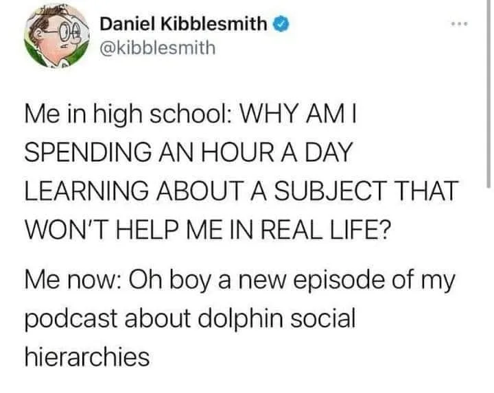 school meme
