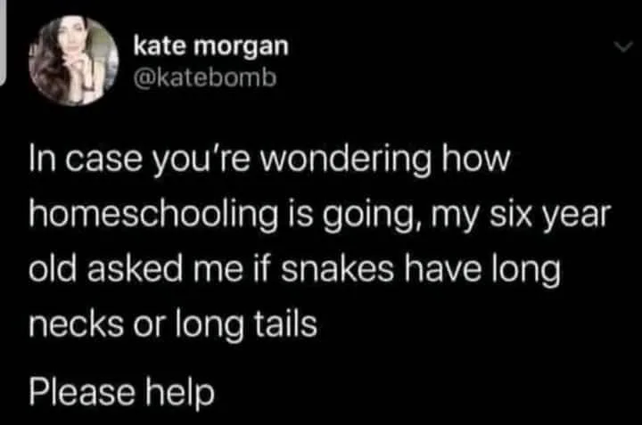 tail meme