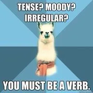 verb meme