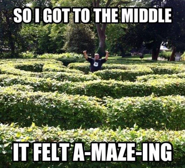 maze meme