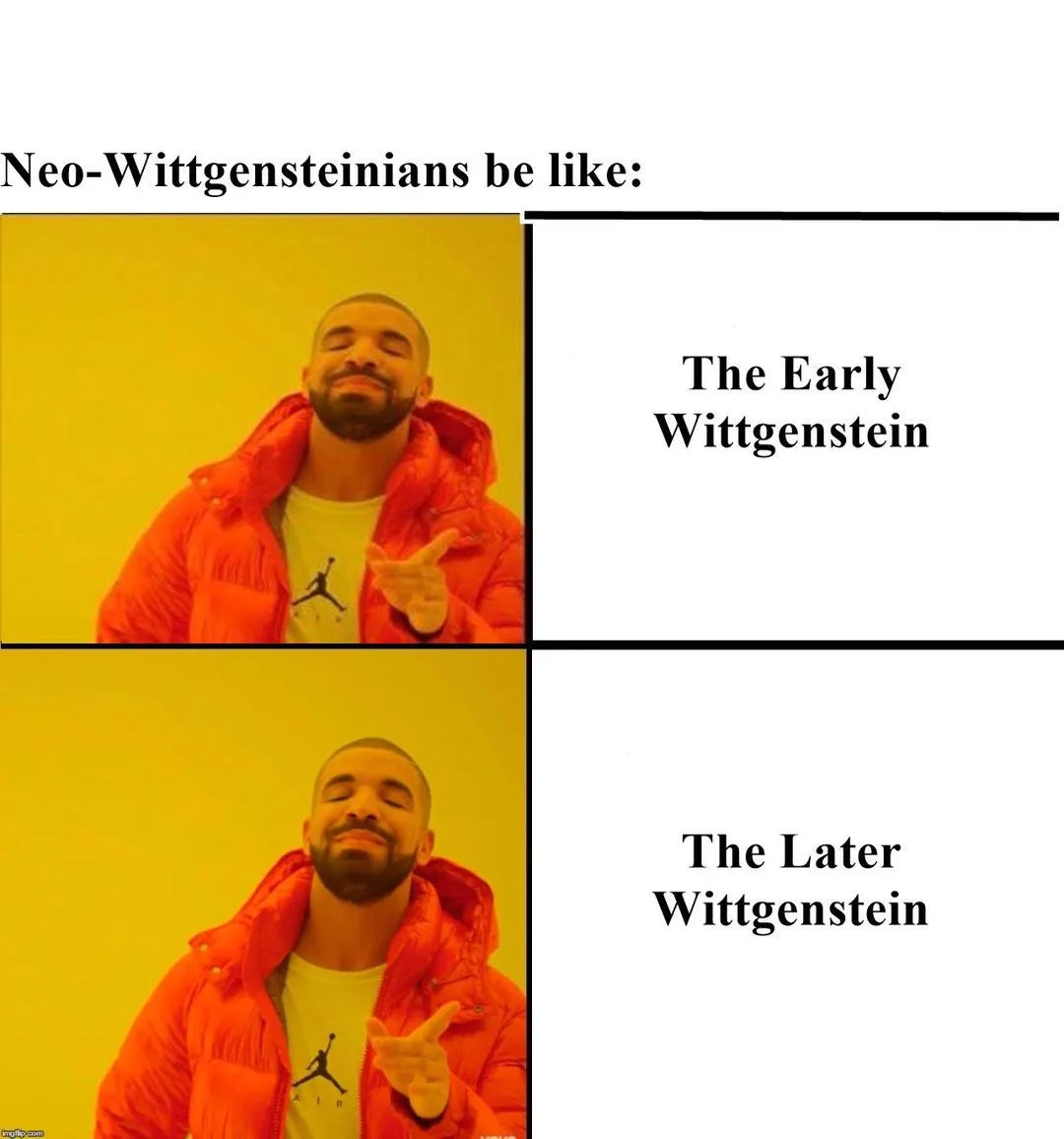 Ludwig Wittgenstein meme