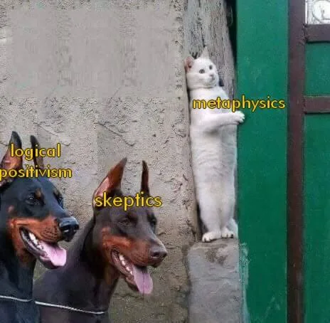 logical positivism meme